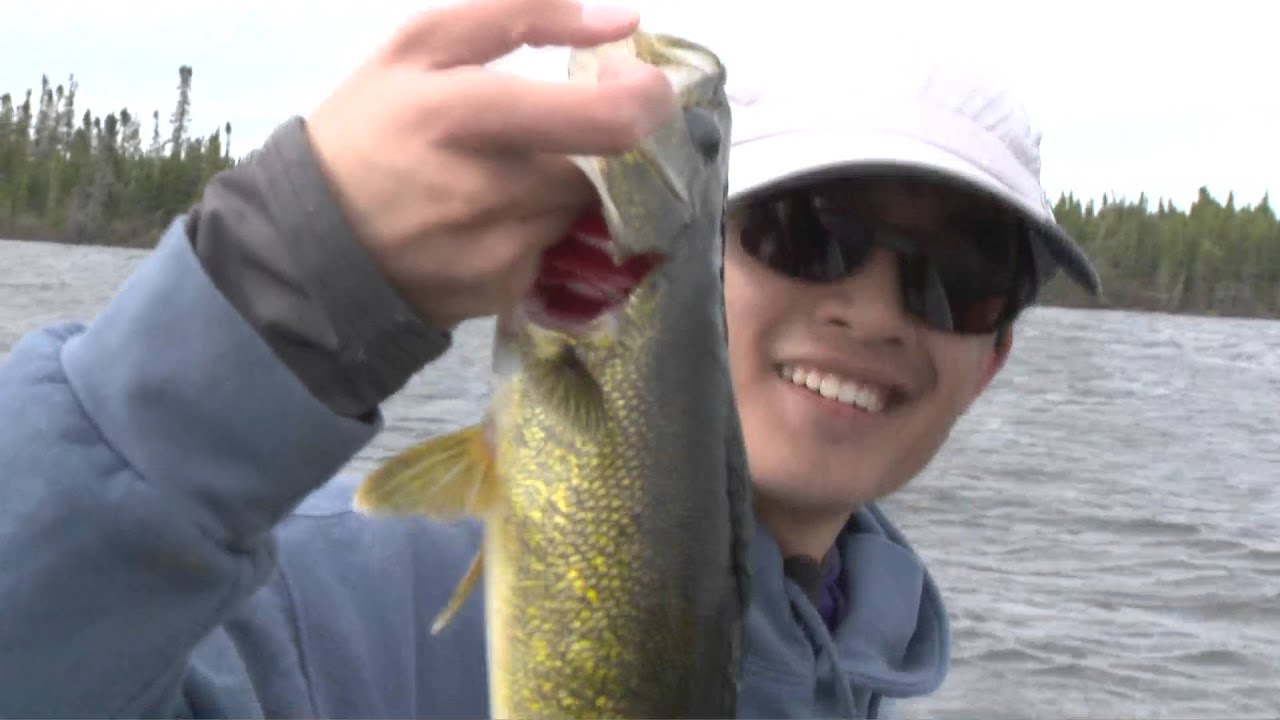 Pickled Lake Ontario Walleye and Pike Fishing - Babe Winkelman's Good Fishing