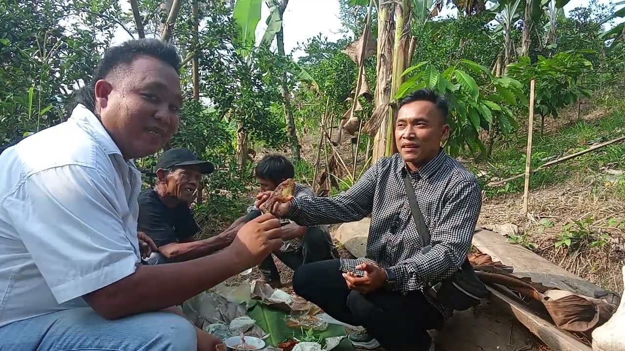 BERKUNJUNG LAGI DI KEBUN JERUK PAK JARNUJI  BERSAMA TEMAN TEMAN