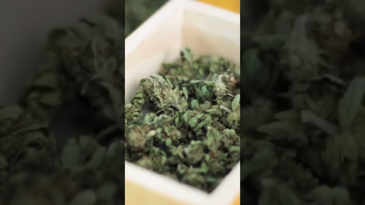 Kief &bull; Extracciones Artesanales