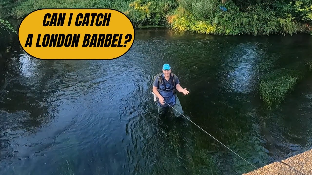 Experience The Best Urban Fishing Adventure On The river Wandle. #barbel #RiverWandle #Chub