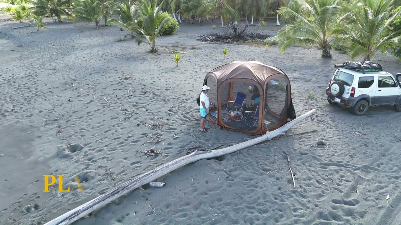 GOLFO DULCE Y RIO NUEVO (Puerto Jiménez) - FEBRERO 2026