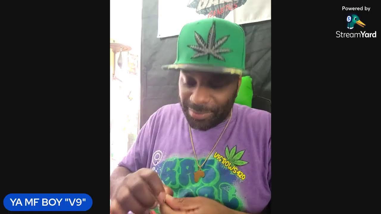 The Captain Redbeard Seeds Run Is Off To A Great Start
