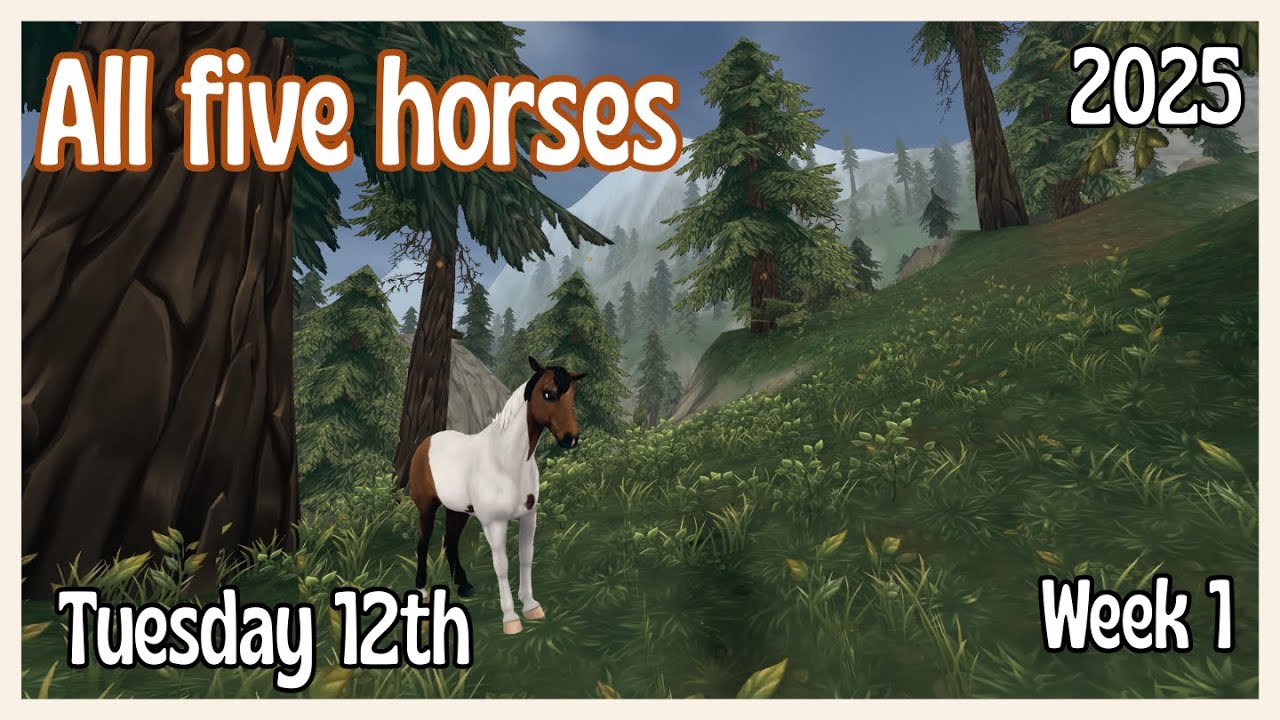 SSO🦋Camp Western 2025🤠All five horses🤠Tuesday 12th🤠Week 1