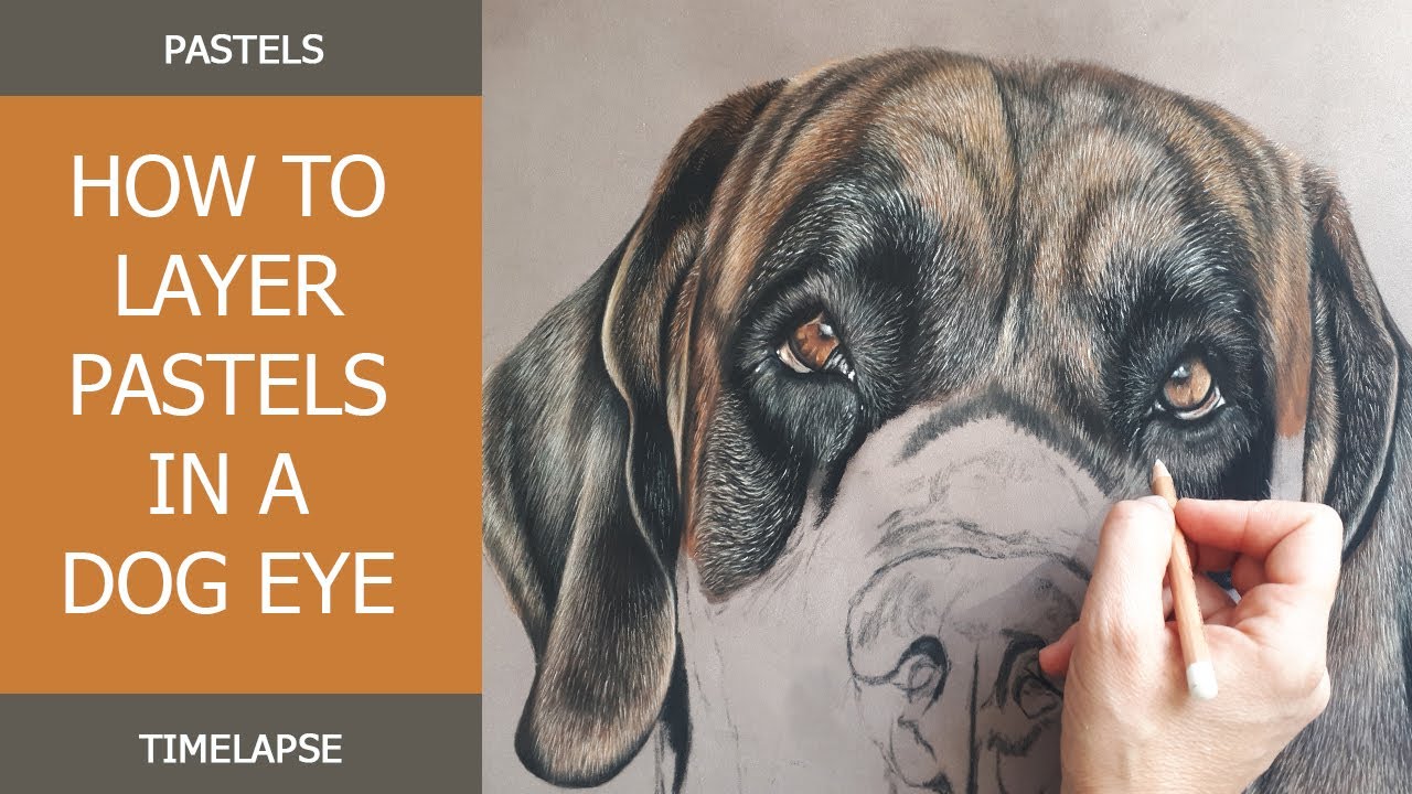 How to layer pastels in a dog eye - Sabine Lackner Fine Art