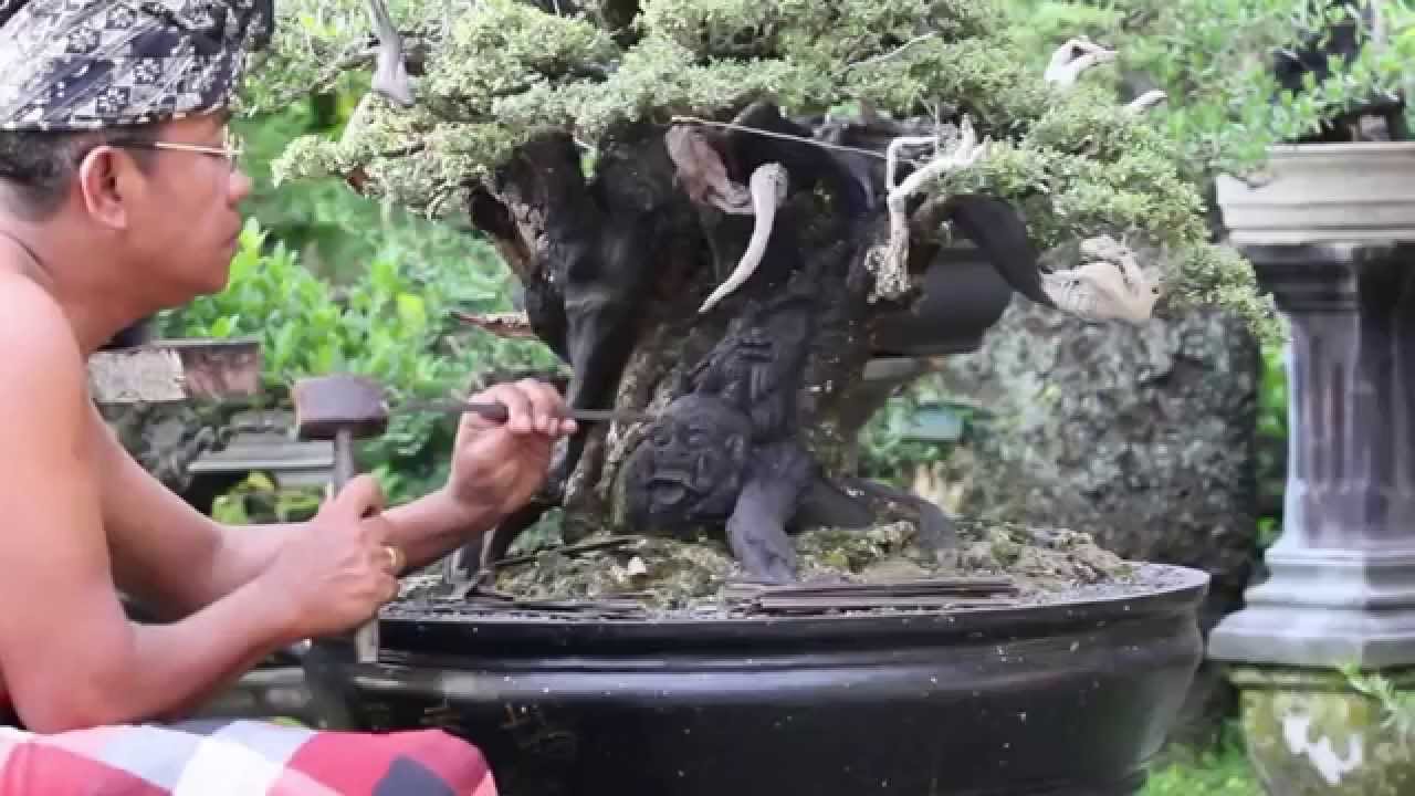 The Bonsai Art of Bali