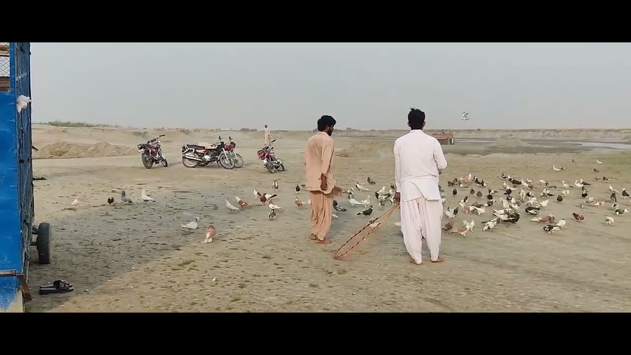 aaj to pahle chot barbadi wale Bade kabutar Gir Gaye