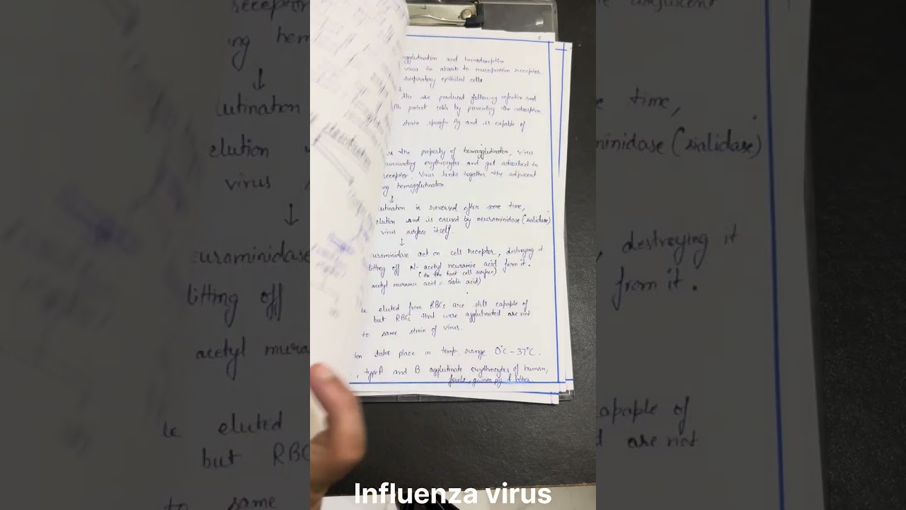 Influenza virus notes
