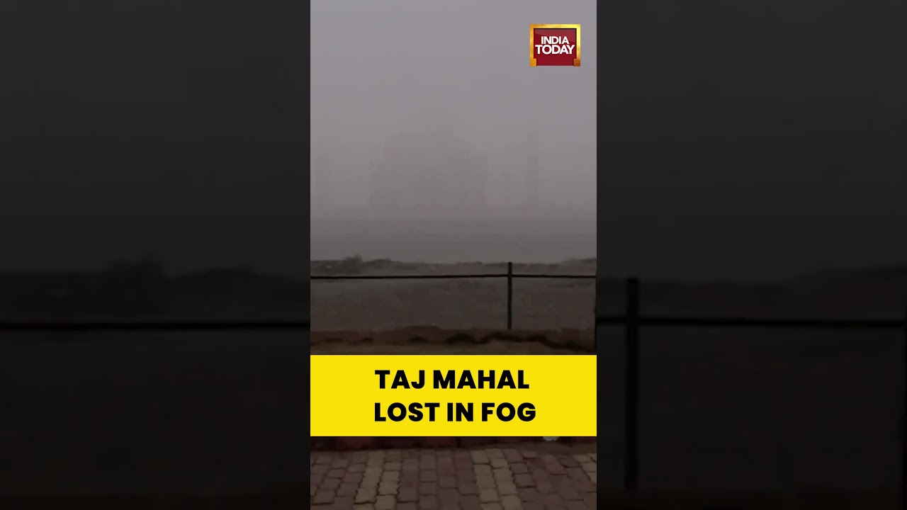 #tajmahal Vanishes in #densefog | Agra Shrouded as Winter Tightens Grip