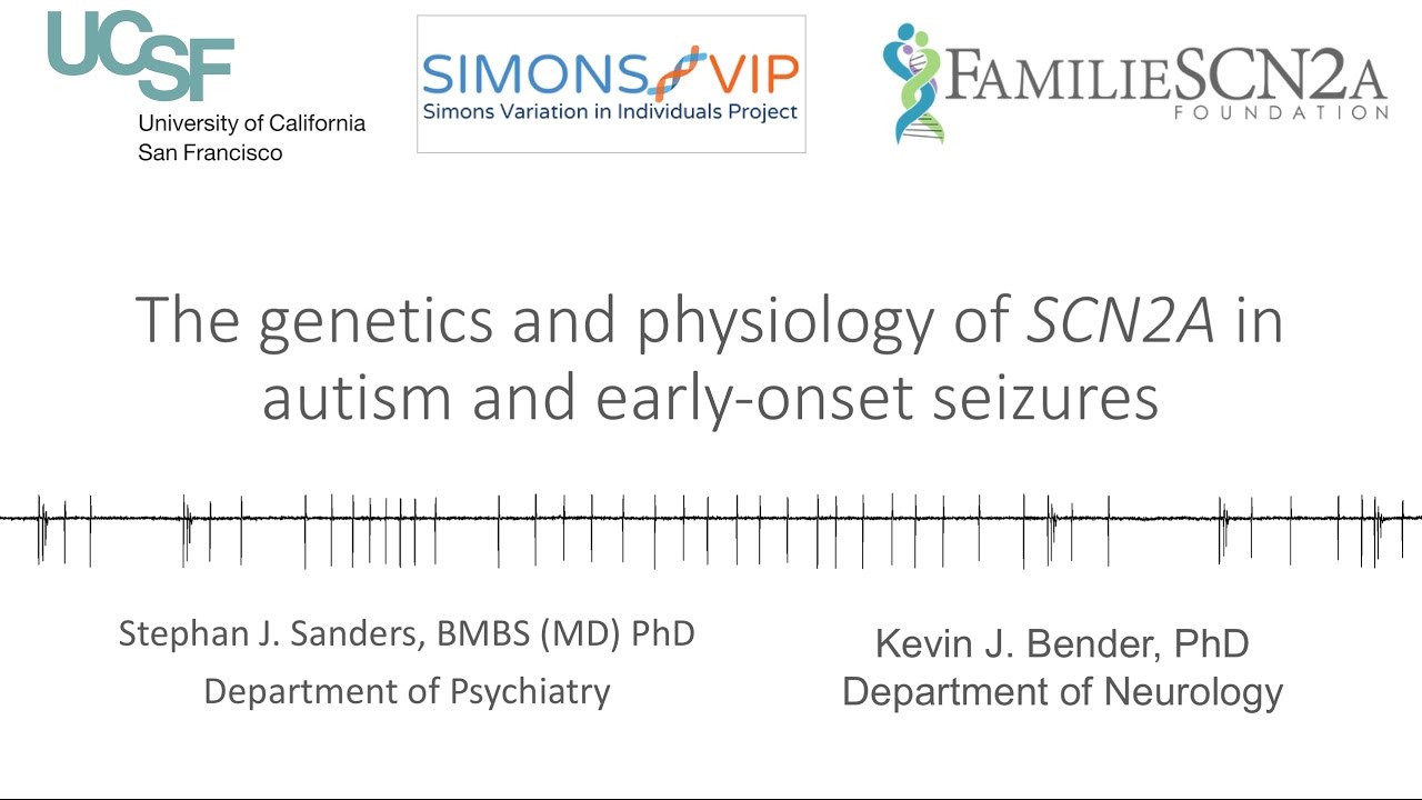 The genetics and physiology of SCN2A in autism and early-onset seizures