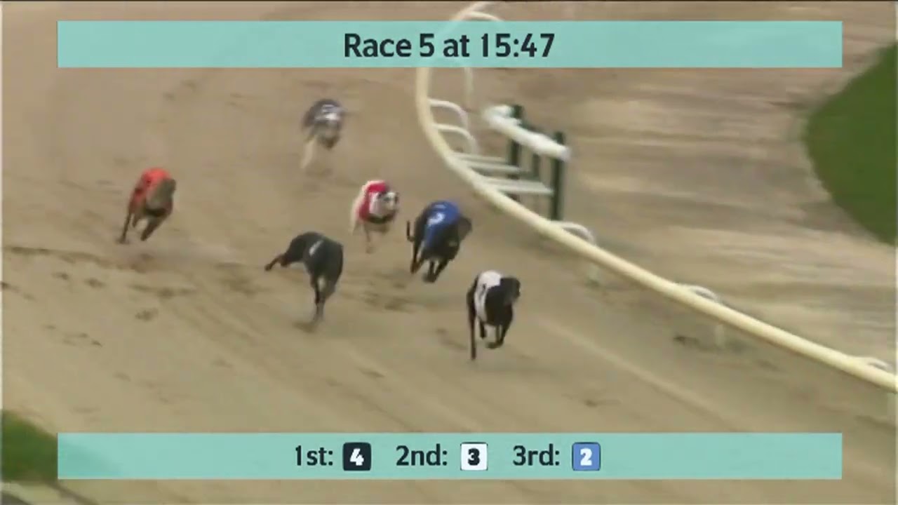 Monmore Greyhounds Races on 3rd March 2026