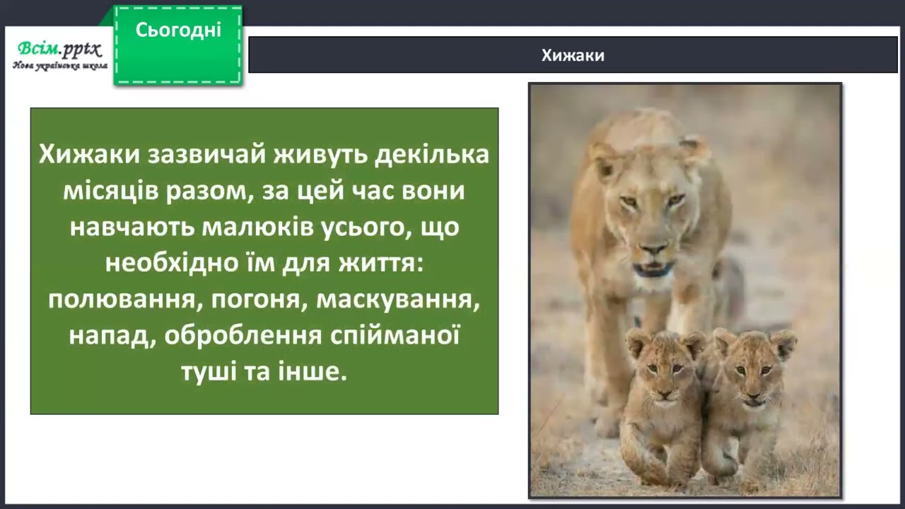 Як звірі піклуються про своє потомство?