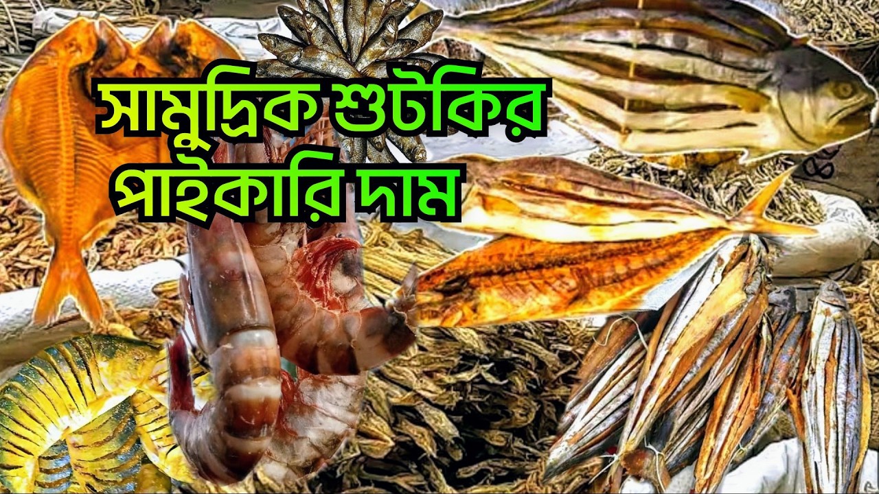 সামুদ্রিক শুটকির পাইকারি দাম কক্সবাজারে✅ dry fish market  ✅dry fish recipe