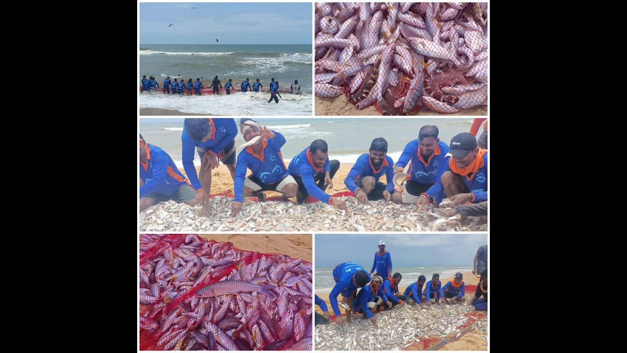 Padubidri fisher's man's fishing 🌊🐟 padubidri fisher's fishing time 🌊🌊