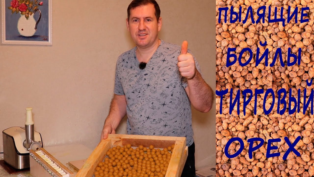 Пылящие бойлы Тигровый орех / Бойлы своими руками