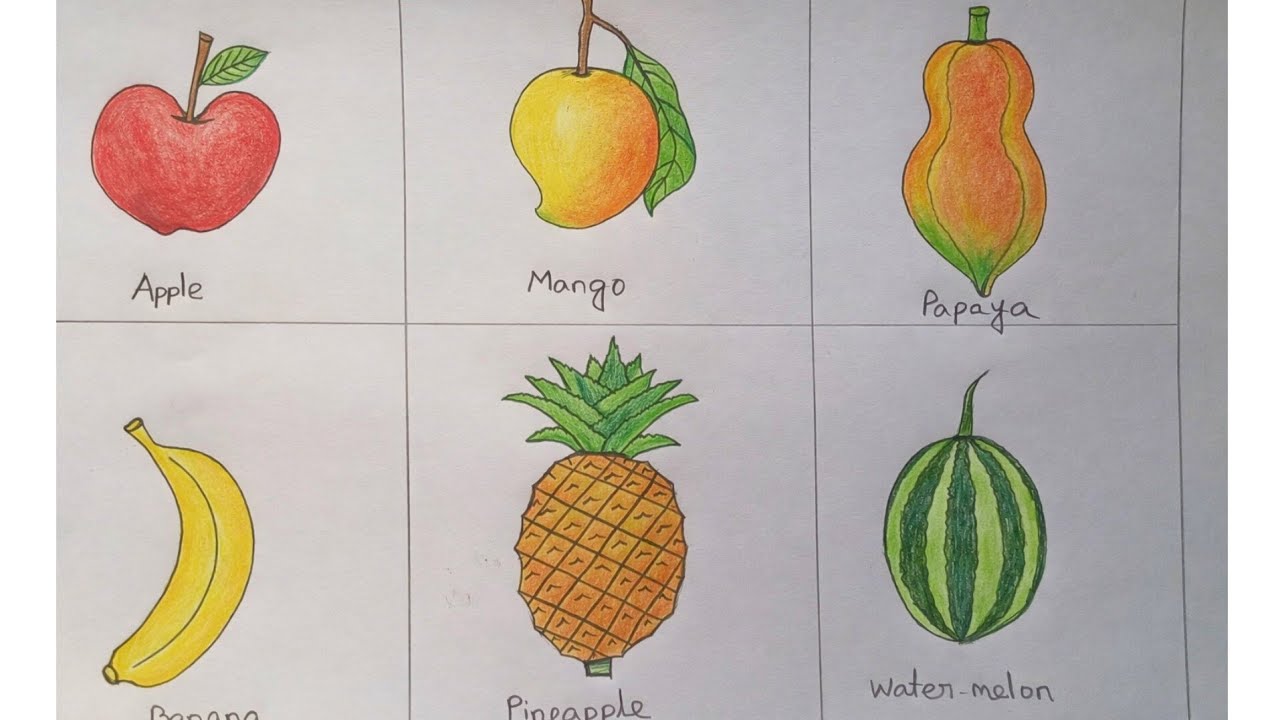How to draw fruits ll 6 type of fruit drawing ll easy step by step 