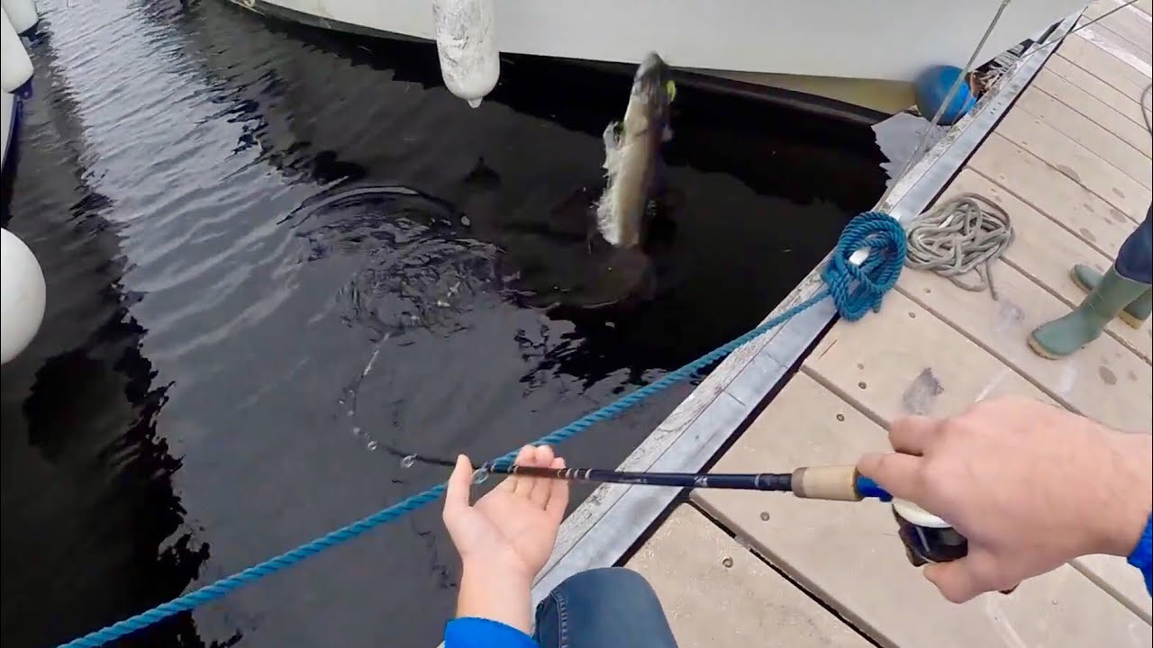 Prix concours carnassier Val Joly - Brochet attaque en direct - Pike Fishing - Lough Bofin fishing
