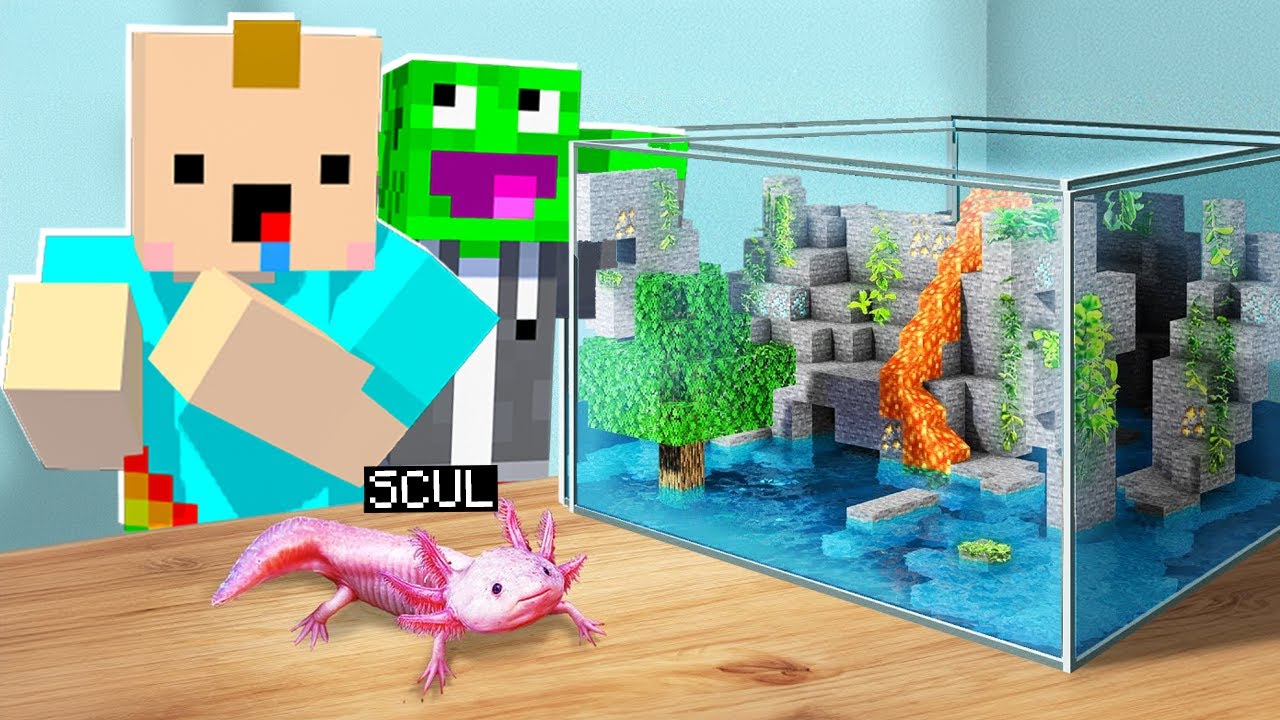 NAJLEPSZE AKWARIUM DLA AXOLOTLA 