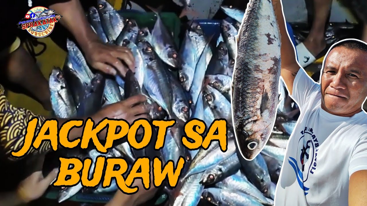 NAKA CHAMBA NG PULANG BUNTOT, GOOD SIZE ANG LALAKI