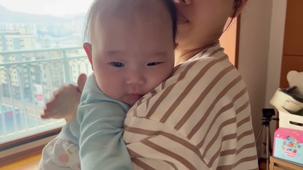 23년11월 영상모음(1-13)