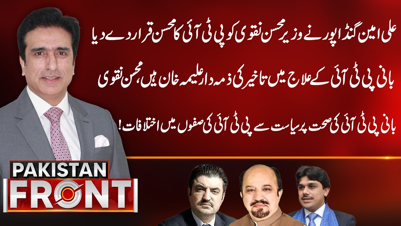 Ali Amin Gandapur Declares Mohsin Naqvi PTI’s ‘Savior’ Amid Internal Disputes Over Founder’s Health