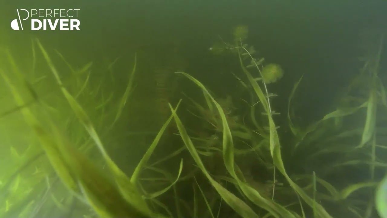 Tajemnicza historia hydroplanów z Jez. Łapalickiego | Kaszuby | Miejsca Nurkowe