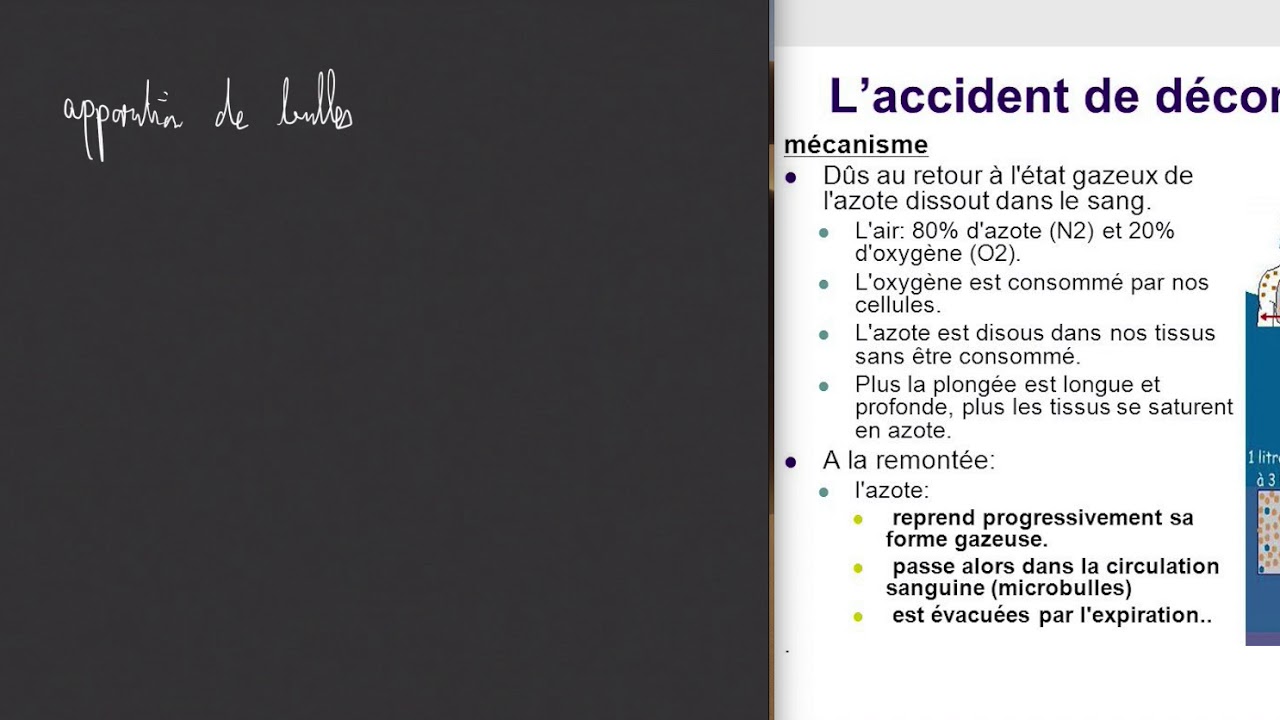 TP Hydrostatique - Etude d'un fluide au repos - P3 (Application à la plongée)
