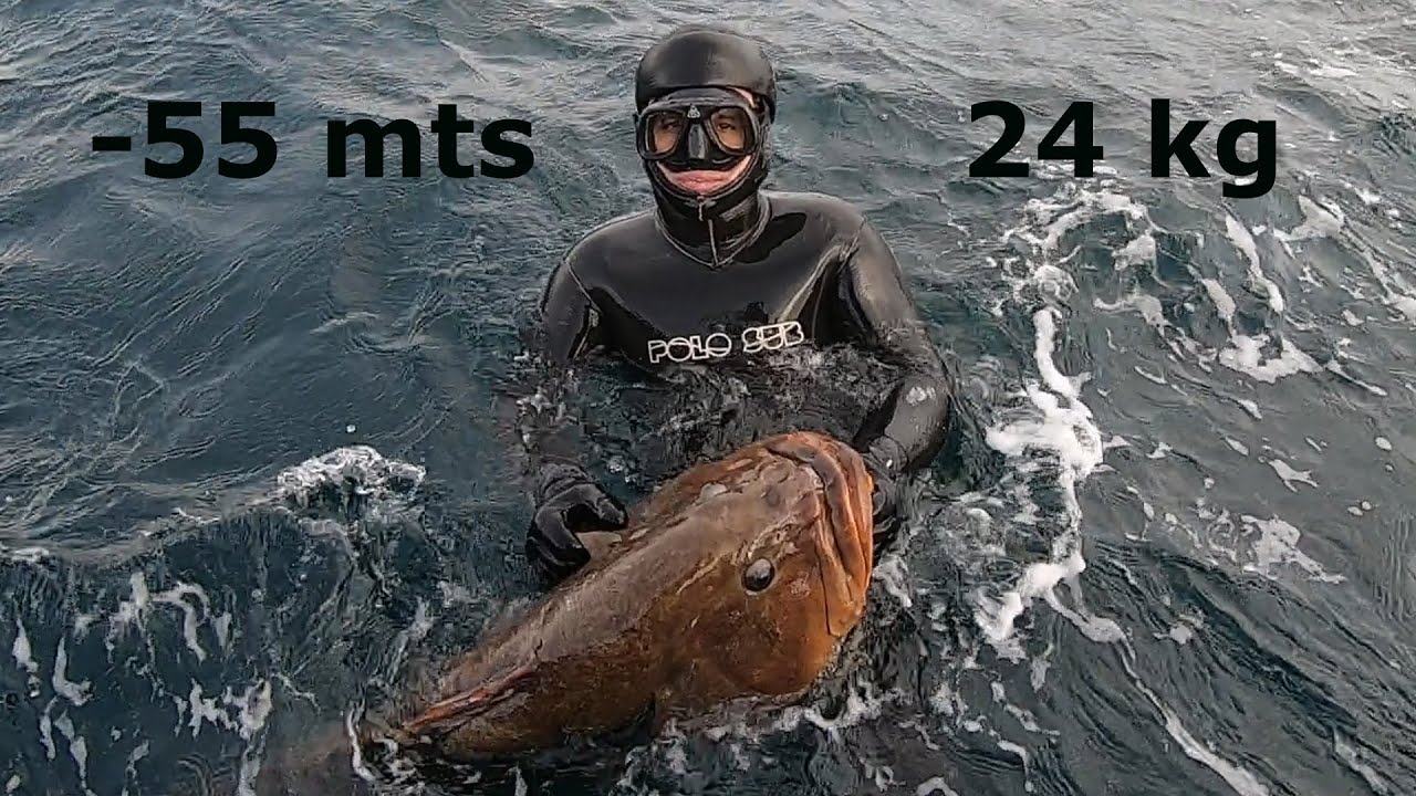 mero en  - 55 mts de 24 kg por Super Emilio del equipo Polosub, C4carbon y OnNautic