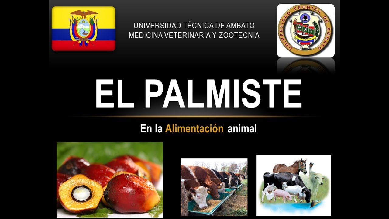 El Palmiste en la Alimentación animal