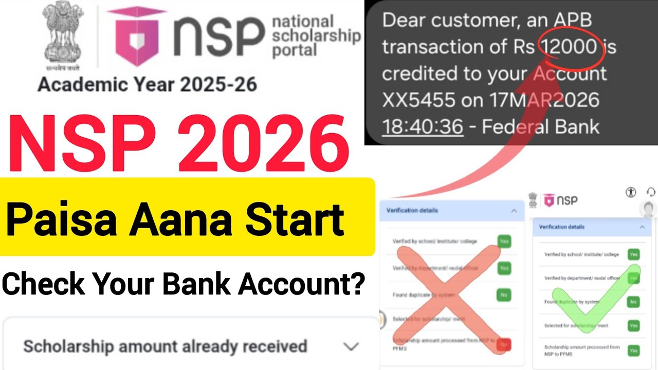 NSP ka Paisa Aana Start 🔥 ₹12000 Credit Ho Gaya | Latest Payment Update 2026 