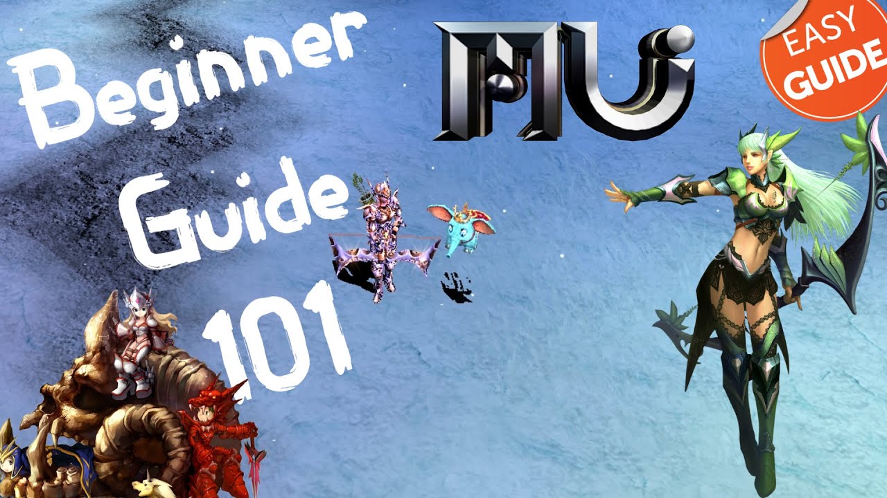 Tutorial / Beginner's Guide - Muonline