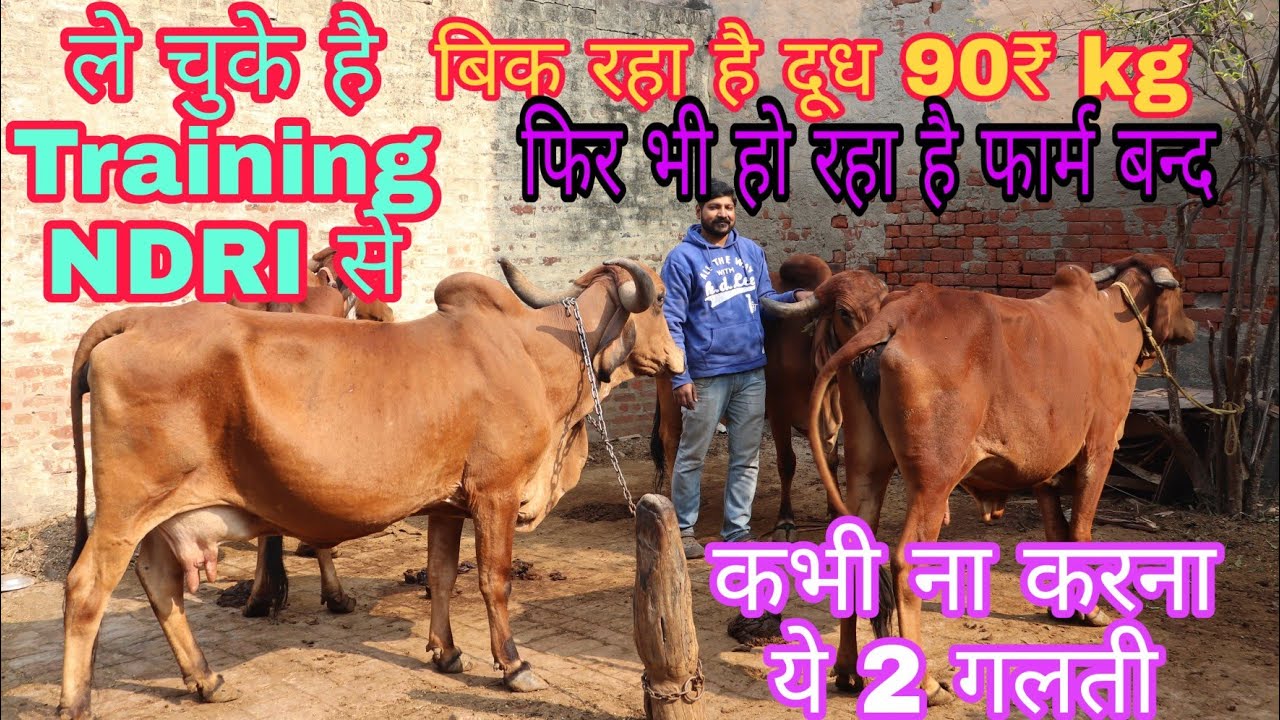 बिक रहा है दूध 90₹ kg// फिर भी हो रहा है फार्म बन्द