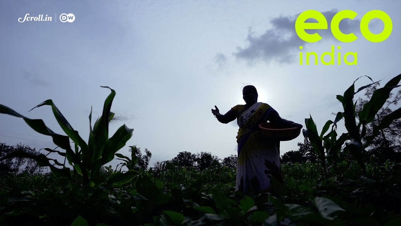 Eco India Premiere: The women farmers in Maharashtra who are fighting for their right to own land