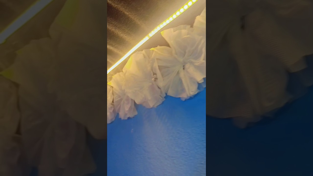 Beautiful Tissue Paper Flowers in 30 Seconds 🌸 DIY Craft 