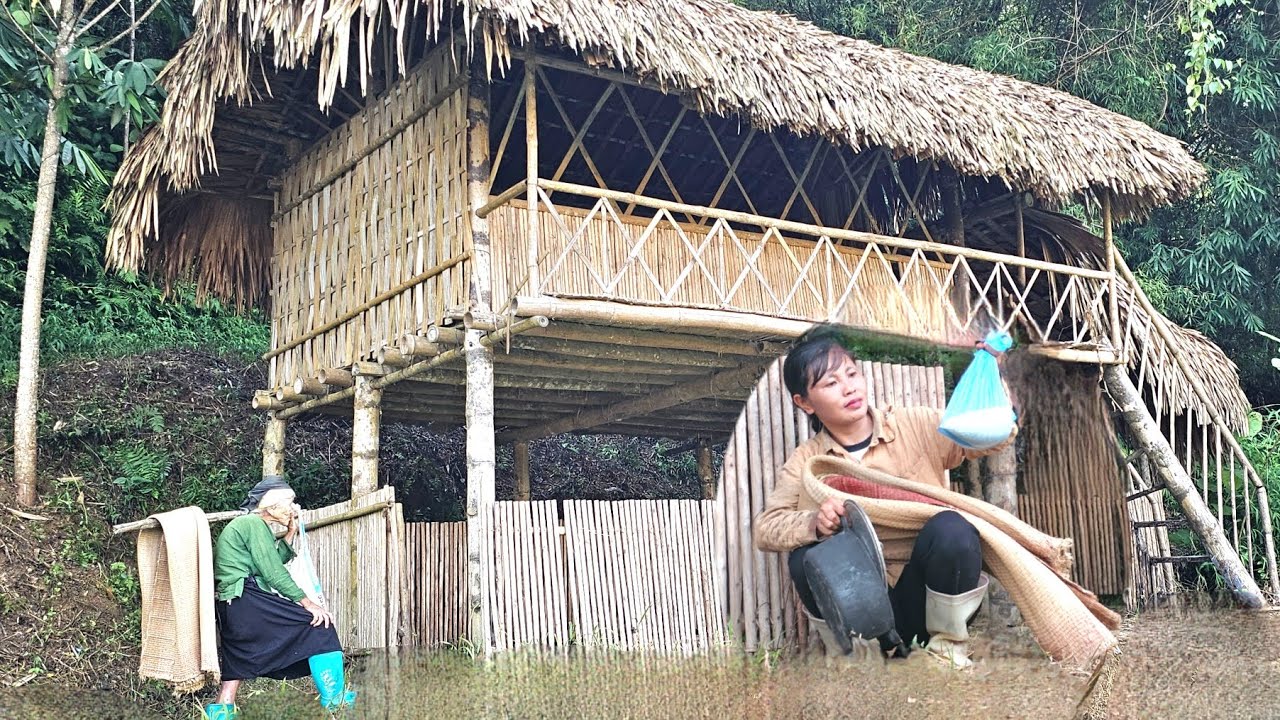 Mystery in the House: What Happened in the House When the Homeless Girl Was Not Home