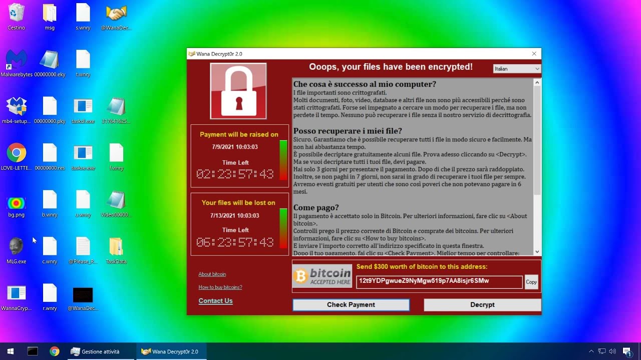 WannaCry vs Malwarebytes (download)