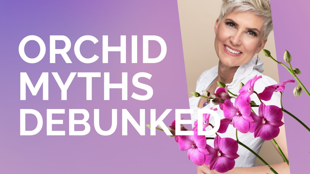 Debunking Orchid Myths