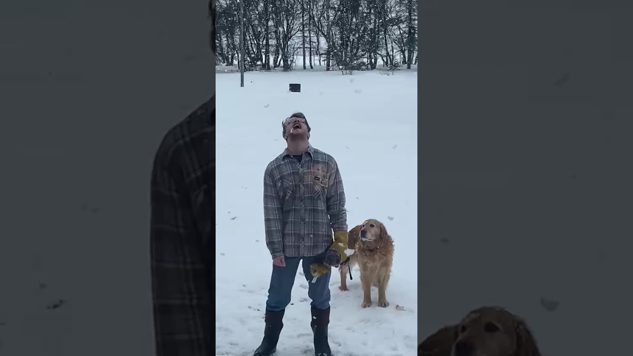 Snowflakes