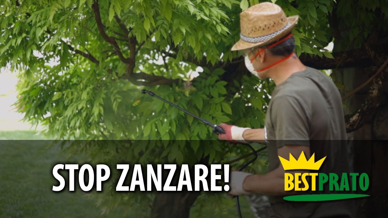 Come Eliminare le ZANZARE in Giardino