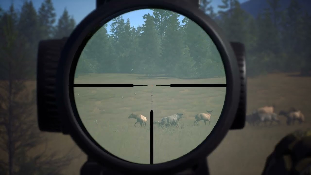 Way Of The Hunter