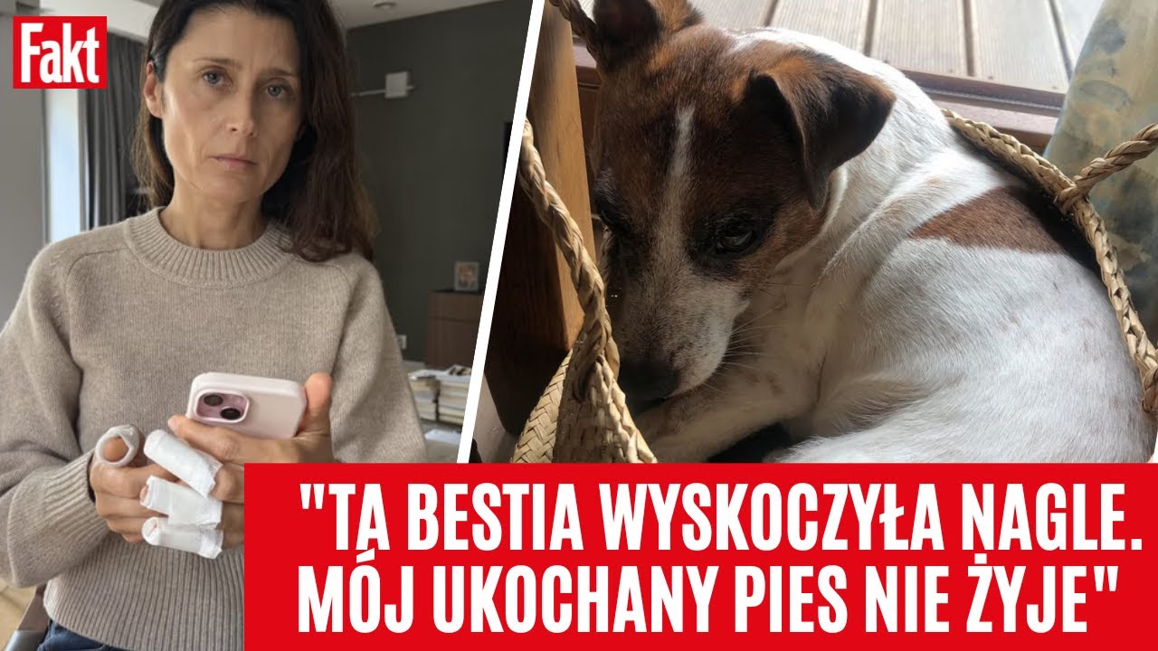 DRAMAT pani Elżbiety z Saskiej Kępy! Pies sąsiadki rozszarpał jej ukochanego Leosia | FAKT