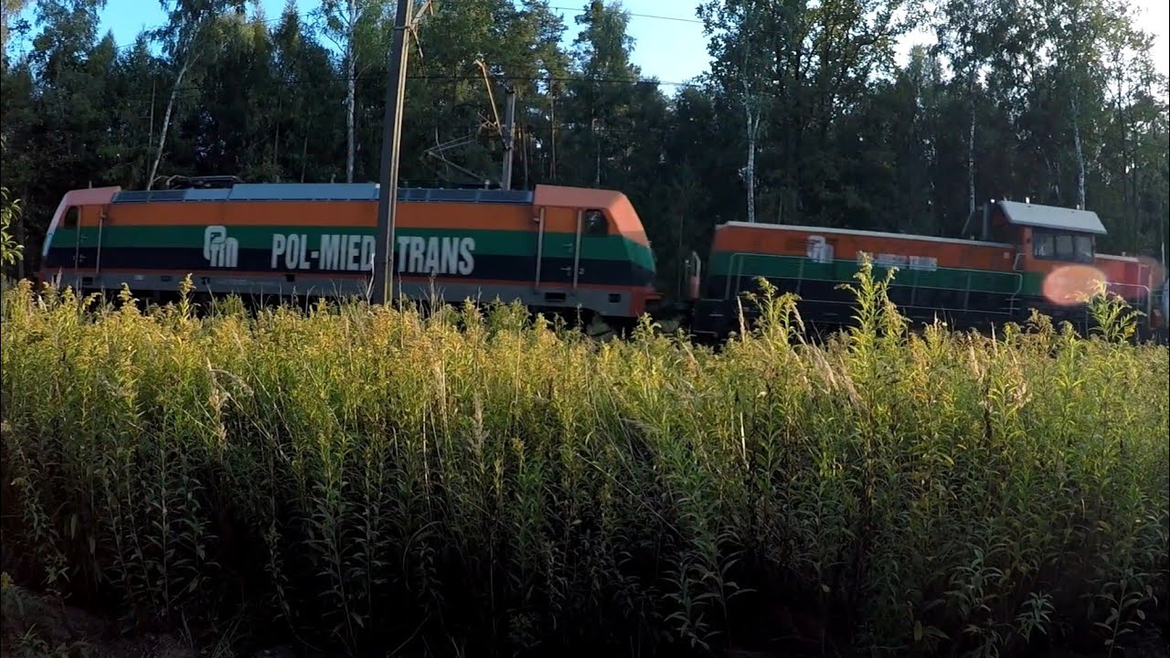 Pociągi Długołęka, Byków