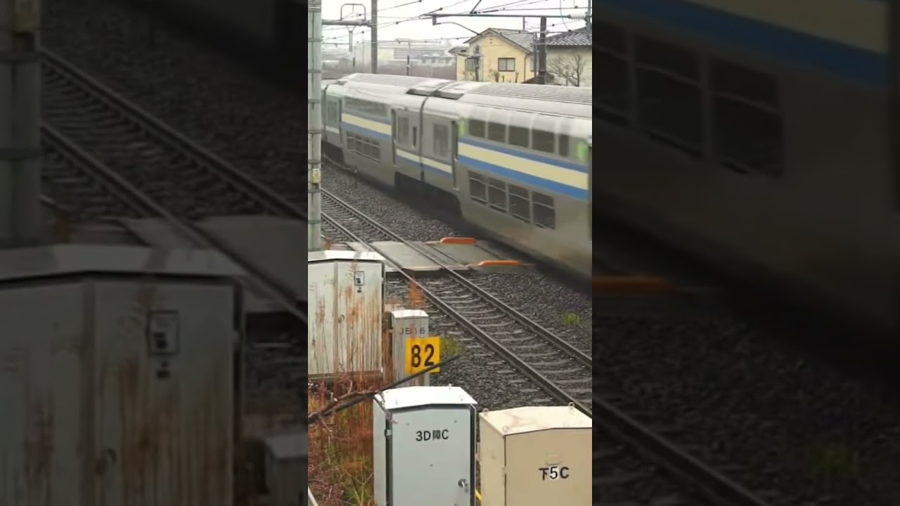 EF64 1031+E217 @7k4jpj (EAR PIERCING WHISTLE!)