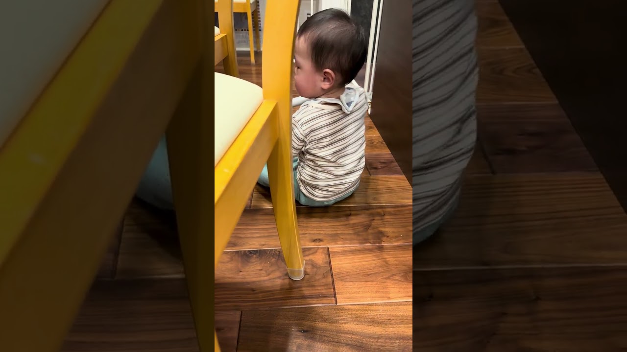 おそうじ
