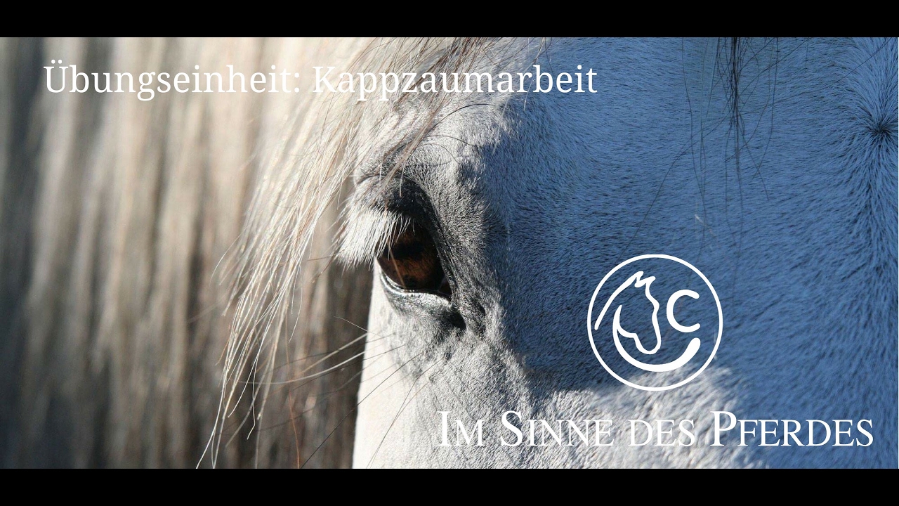 Kappzaumarbeit