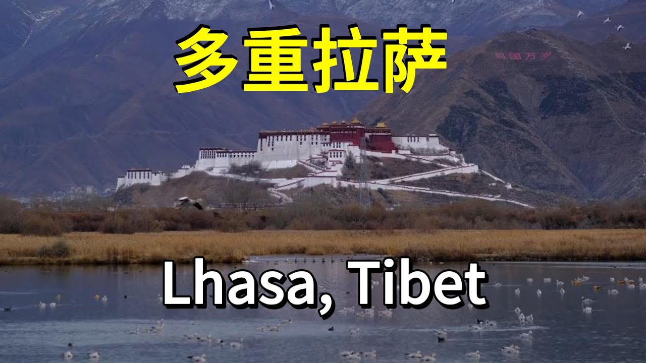 这样的拉萨，是你心中的拉萨吗 像一本正反都可以开始阅读的书 |拉萨 |西藏 |布达拉宫