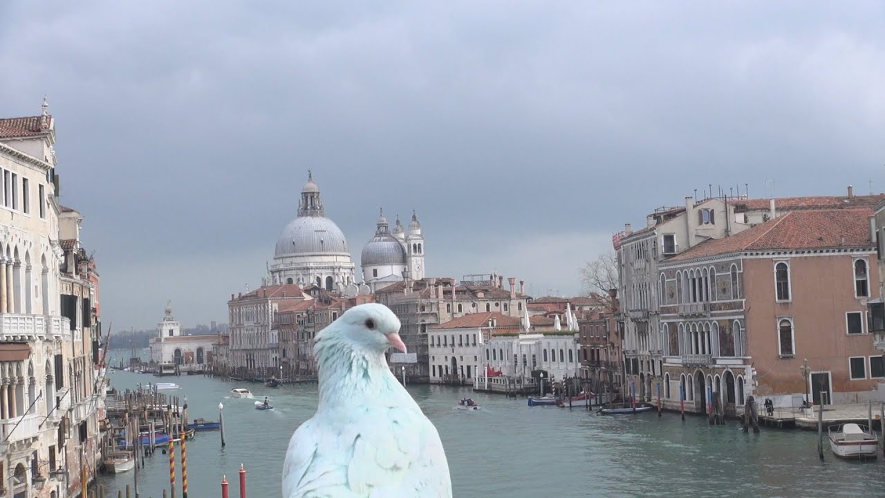 Venice Carnival 2015 - The best masks - Giovedì grasso - Carnevale di Venezia - by Giovanni Rosin
