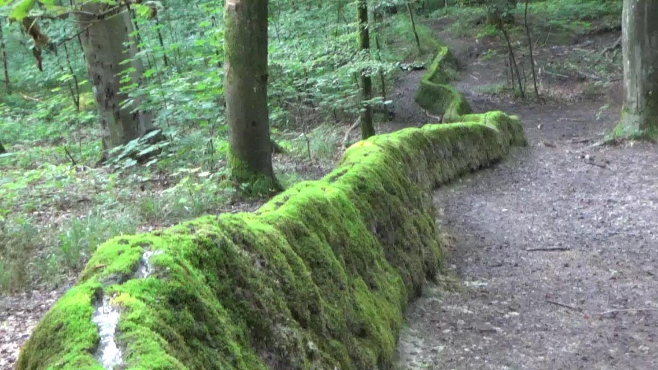 Naturschönheiten Greding der Hohe Brunnen,Steinerne Rinne
