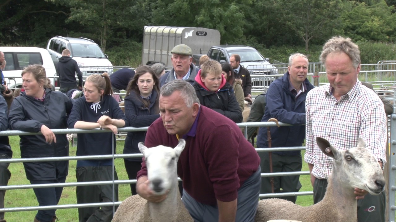 Wigtown Show 2016