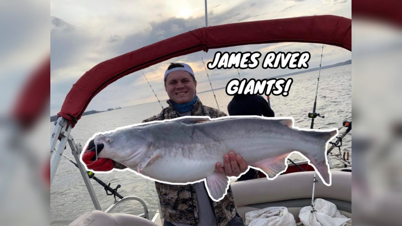 CATCHING BIG BLUES ON THE JAMES RIVER!! (James River Catfishing Part 1)