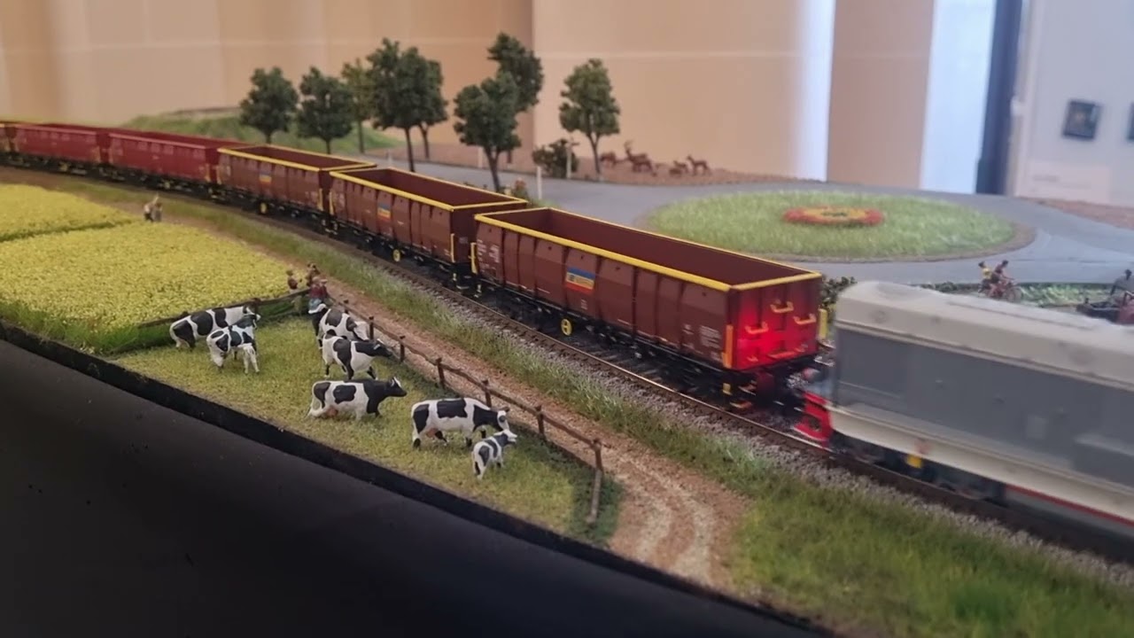 Tren de marfa CFR Marfa cu vagoane Eacs cu 040 DHC epoca 5